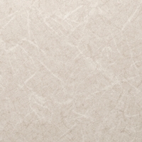 NEO-R613
